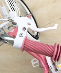 Xe đạp trẻ em Xaming xm03 29 Tay Phanh Xe đạp Trẻ Em Xaming Xm03