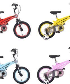 Xe đạp trẻ em LanQ 39 16 Toàn Bộ Màu Xe Xe đạp Trẻ Em Lanq 39 4 Màu