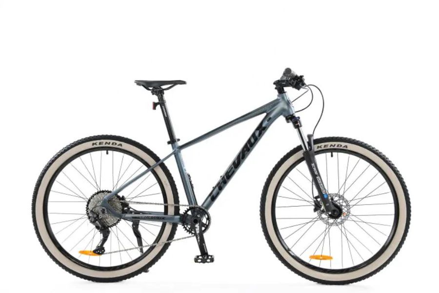 Xe đạp địa hình Chevaux Yoko 2022 42 Xe đạp địa Hình Chevaux Yoko Bản 2022 Màu Bạc