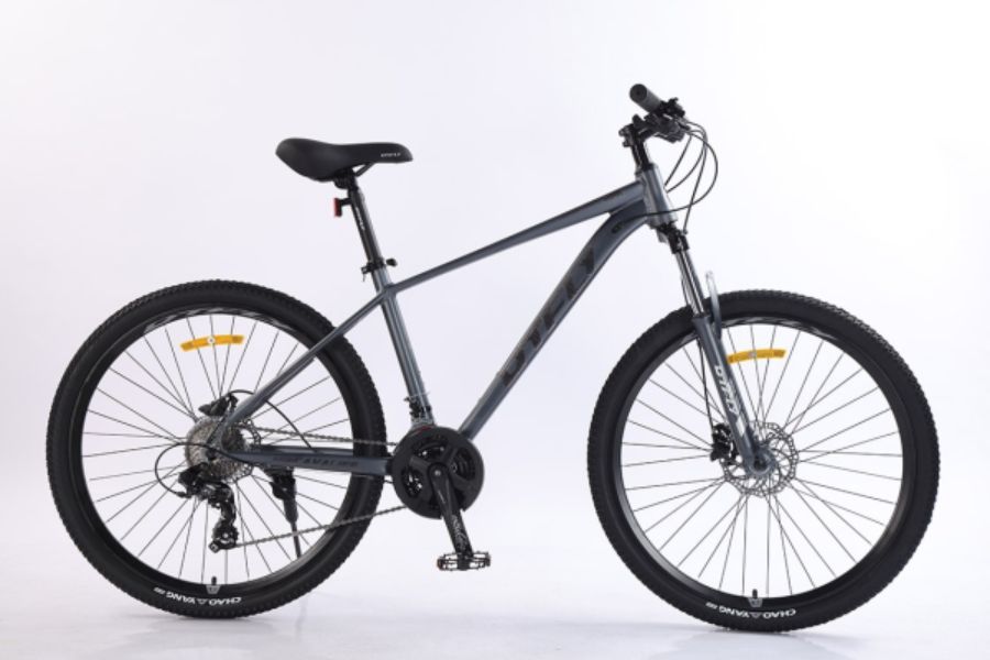 Xe đạp địa hình mtb Dtfly h-500 29 Xe đạp địa Hình Dtfly H-500 Màu Xám
