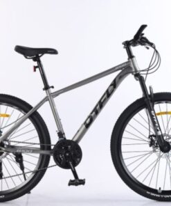 Xe đạp địa Hình Mtb Dtfly B100 Màu Xám