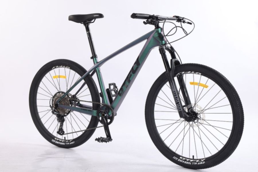 Xe đạp địa hình mtb Dtfly Morisarages 13 Xe đạp địa Hình Mtb Dtfly Morisarages Màu Xanh