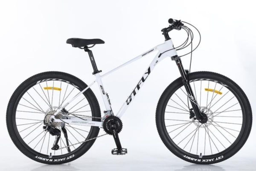 Xe đạp địa hình mtb Dtfly X5 30 Xe đạp địa Hình Mtb Dtfly X5 Màu Trắng