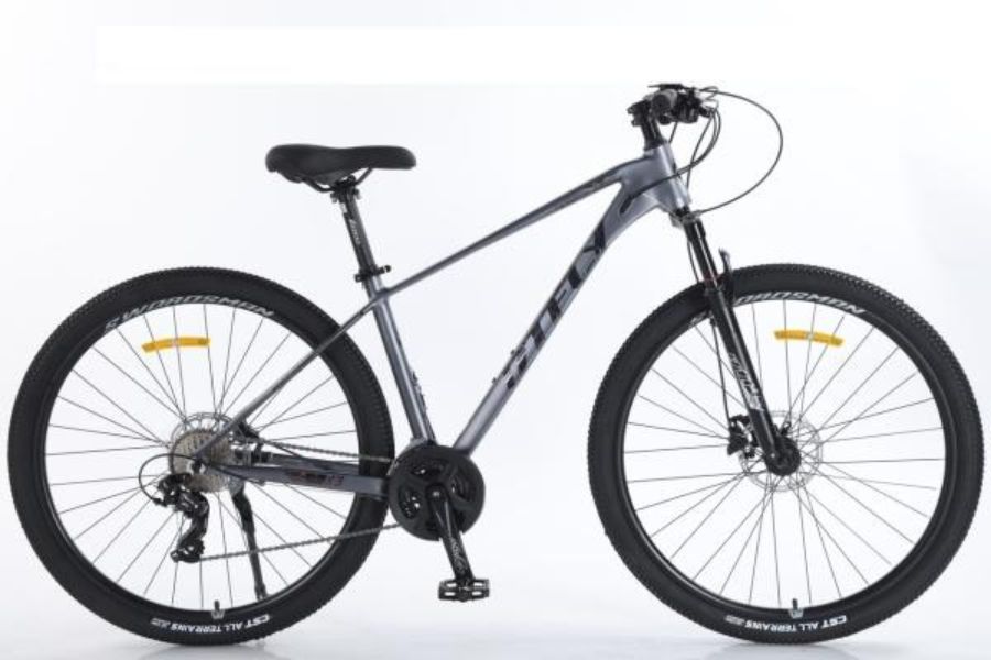 Xe đạp địa hình mtb Dtfly X3 27 Xe đạp địa Hình Mtb Dtfly X3 Màu Xám