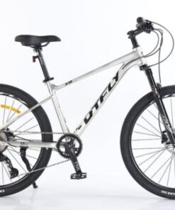 Xe đạp địa hình mtb Dtfly x8 29 Xe đạp địa Hình Mtb Dtfly X8 Màu Bạc