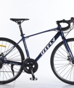 Xe đạp đua Dtfly R-070 Màu Xanh