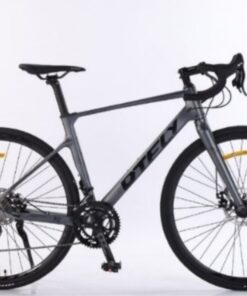 Xe đạp đua Road Dtfly R5 Màu Xanh