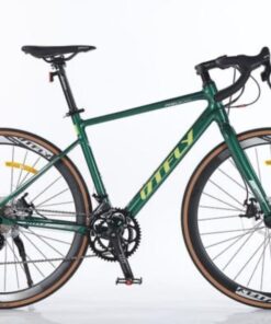 Xe đạp đua Road Dtfly R-5009 Màu Xanh