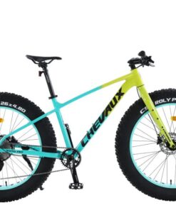 Xe đạp đường Phố Chevaux Toto Fat Màu Xanh