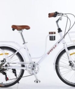 Xe đạp Mini Nữ Dtfly Cafe 7s Màu Trắng