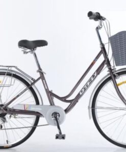 Xe đạp nữ Dtfly City 29 Xe đạp Nữ Dtfly City Màu Xám