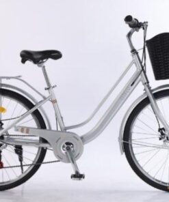 Xe đạp nữ mini Dtfly 2.0 11 Xe đạp Nữ Mini Dtfly 2.0 Màu Xám