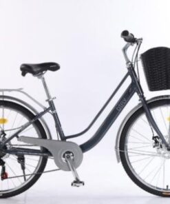 Xe đạp Nữ Mini Dtfly 2.0 Màu Xanh