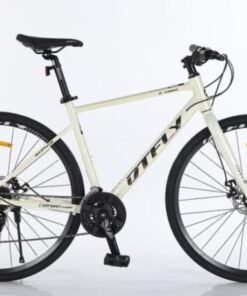 Xe đạp Touring Dtfly R-5008 Màu Trắng