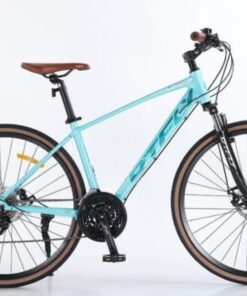 Xe đạp Touring Dtfly R-024 Màu Xanh Lam