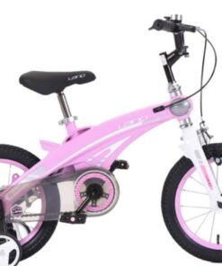 Xe đạp trẻ em LanQ 39 13 Xe đạp Trẻ Em Lanq 39 4 Màu Hồng