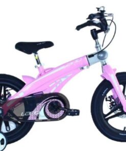 Xe đạp Trẻ Em Lanq 40 Plus 4 Màu Hồng