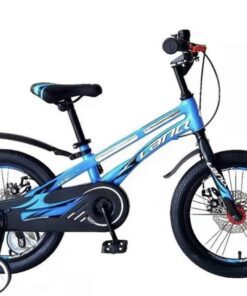 Xe đạp Trẻ Em Lanq 80 3 Màu Xanh