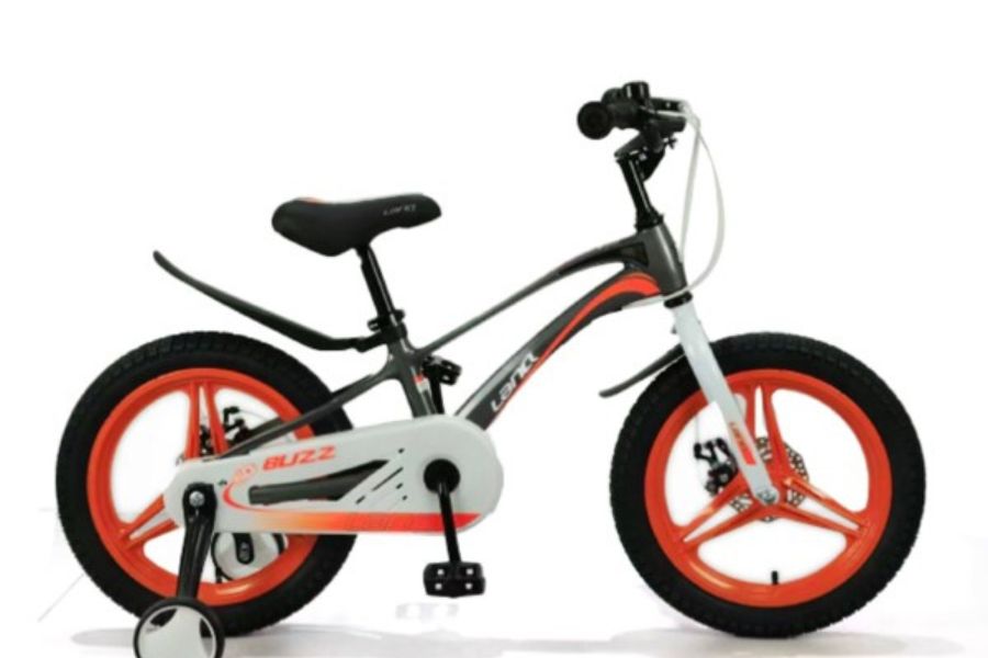 Xe đạp trẻ em LanQ 81g 20 Xe đạp Trẻ Em Lanq 81g 4 Màu Xám