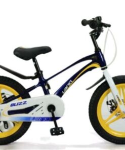 Xe đạp Trẻ Em Lanq 81g 4 Màu Xanh