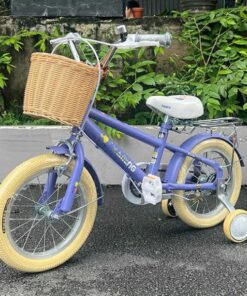 Xe đạp trẻ em Xaming 11 20 Xe đạp Trẻ Em Xaming 11 Màu Xanh ảnh Thật