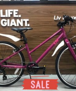Xe đạp nữ Liv Alight 24 bản 2022 15 Xe Trẻ Em Liv Alight 24 Bản 2022 Màu Hồng ảnh Thật