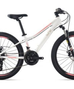 Xe Trẻ Em Liv Cate 24-d 2 Bản 2022 Màu Trắng