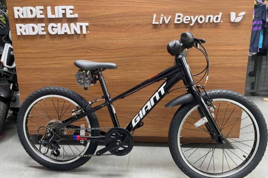 Xe đạp trẻ em cao cấp Giant XTC 20 bản 2025 22 Xe Trẻ Em Giant Xtc 20 Bản 2025 Màu đen