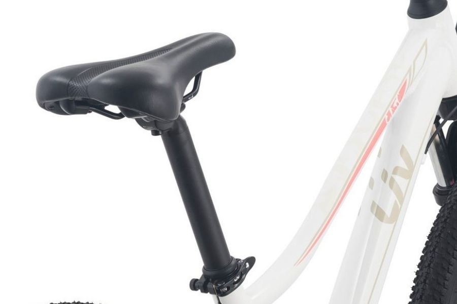 Xe đạp thể thao LIV CATE 24-D 2 bản 2022 26 Yên Ngồi Xe Trẻ Em Liv Cate 24-d 2 Bản 2022